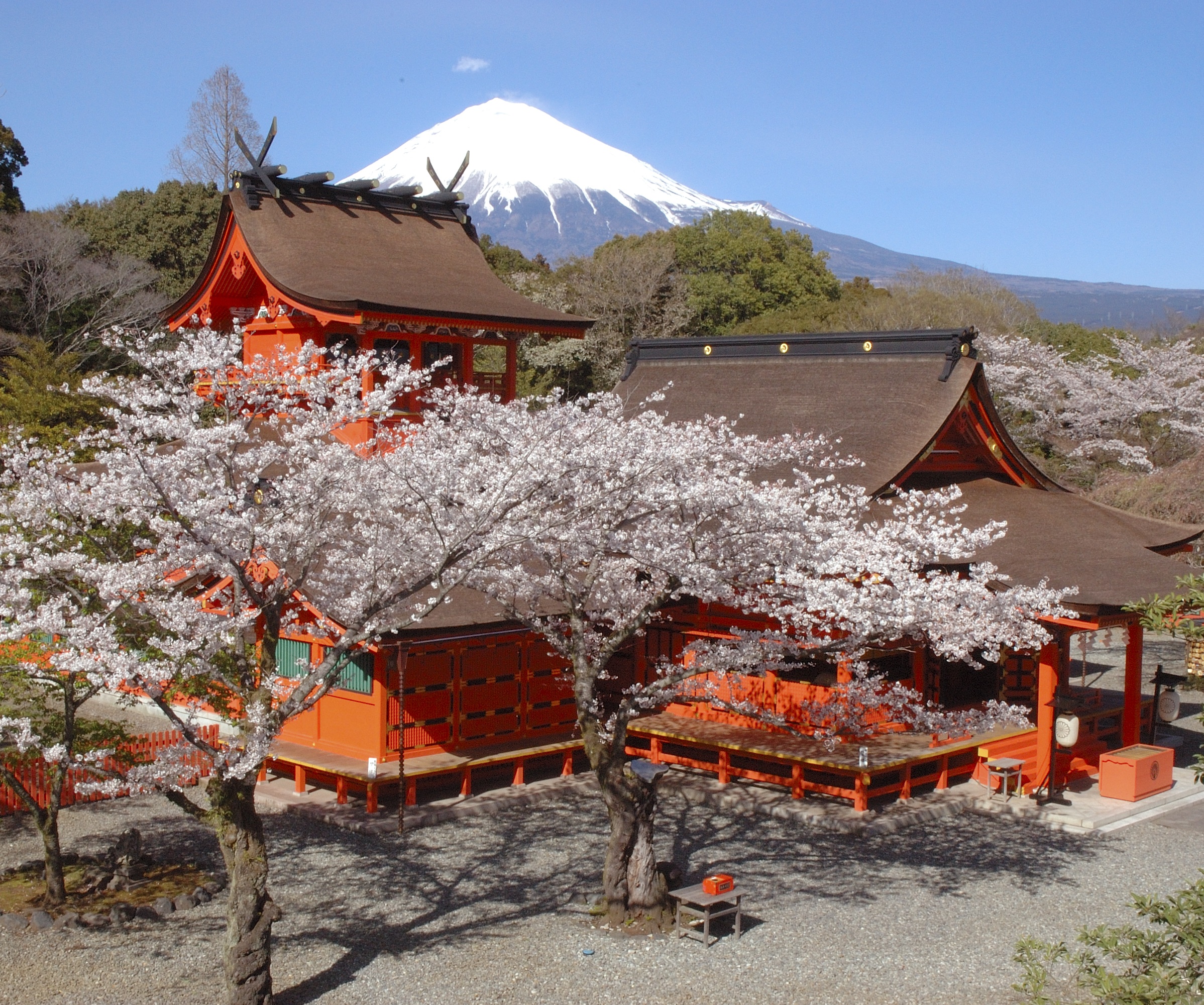 富士山本宮浅間大社1